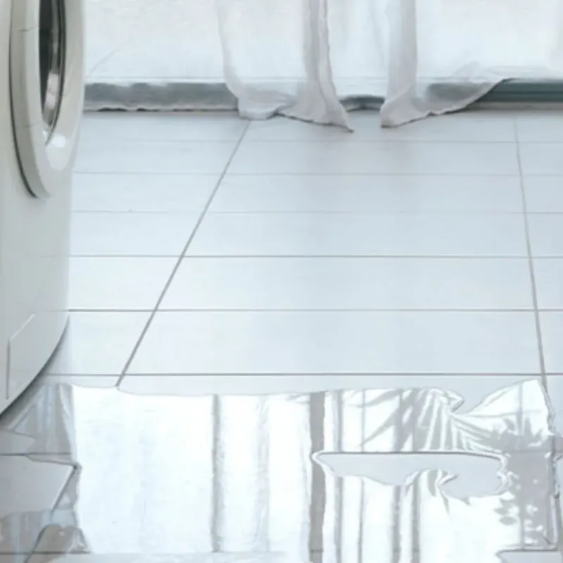 Appliance Leak Cleanup in Richland County, WI