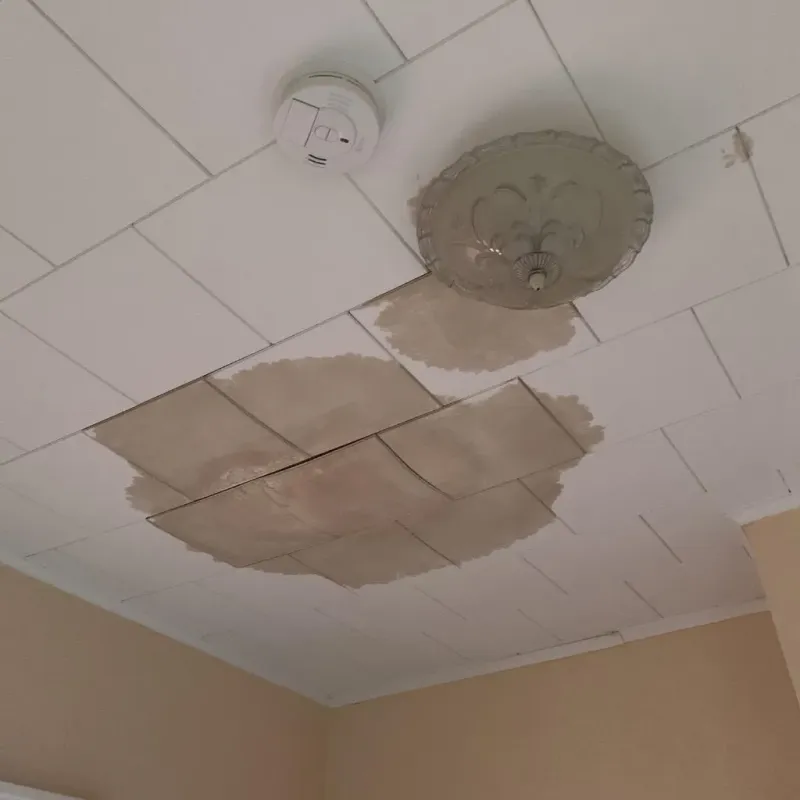 Ceiling Water Damage Repair in Richland County, WI