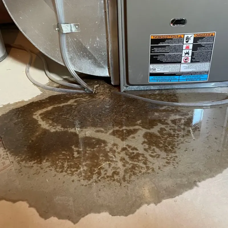 Pipe Burst and Leak Restoration in Richland County, WI