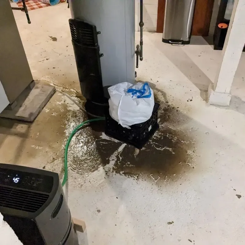 Sewage Backup Cleanup Service in Richland County, WI